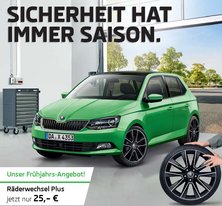 Teaser ŠKODA Frühjahrsaktionen